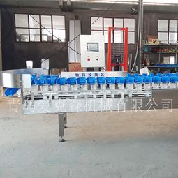 拉缸鹽海參重量分級機 料盒式自動重量揀選機 廠家直銷